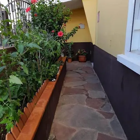 El Rincon De Nina * La Laguna (Tenerife)