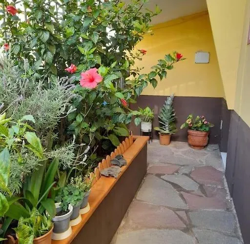 El Rincon De Nina בית נופש